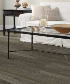 Shaw Flooring Uptown Now 30 Michigan Ave 6" 0462V-00564
