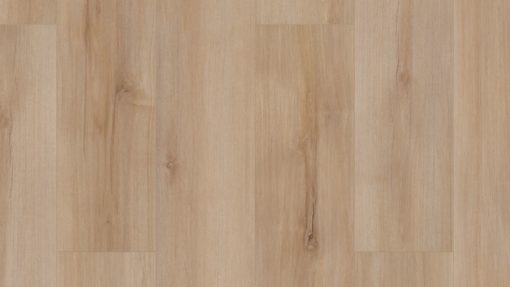 COREtec Floors Pro Plus XL Enhanced Plan Lucent Oak 7" VV492-02028