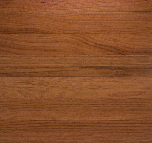 Somerset Classic Collection Red Oak Butterscotch- 2-1/4" CL2109
